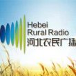 河北农民广播电台（FM98.1）在线收听