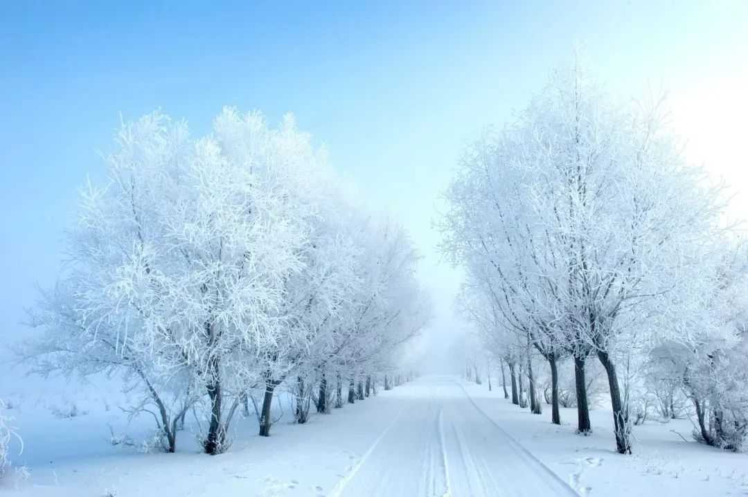 朗诵：天冷了，请照顾好自己