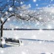 朗诵:等一场雪,也等你