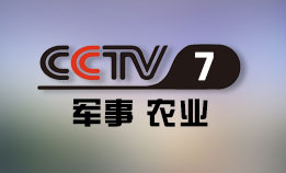 中央电视台CCTV7国防军事频道直播高清在线观看