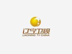 辽宁IPTV辽宁卫视高清电视台直播在线观看